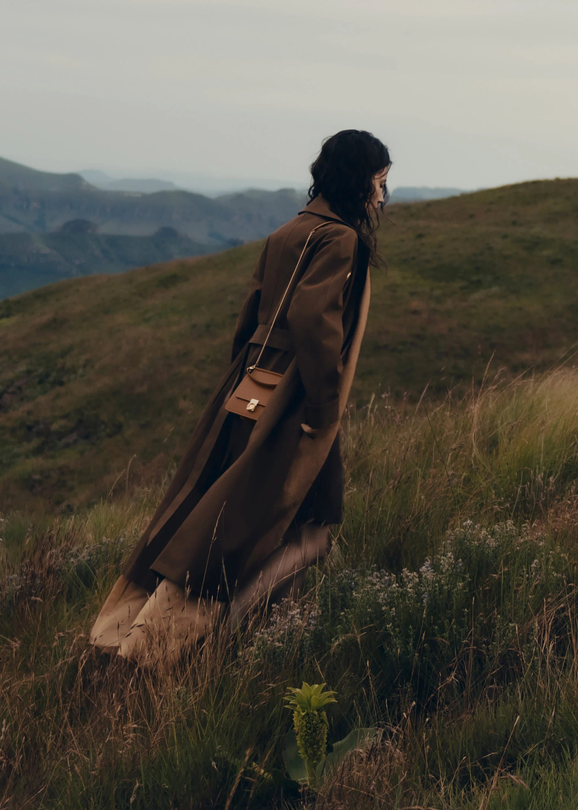 Numéro Sept Mini Edition Camel Grainé